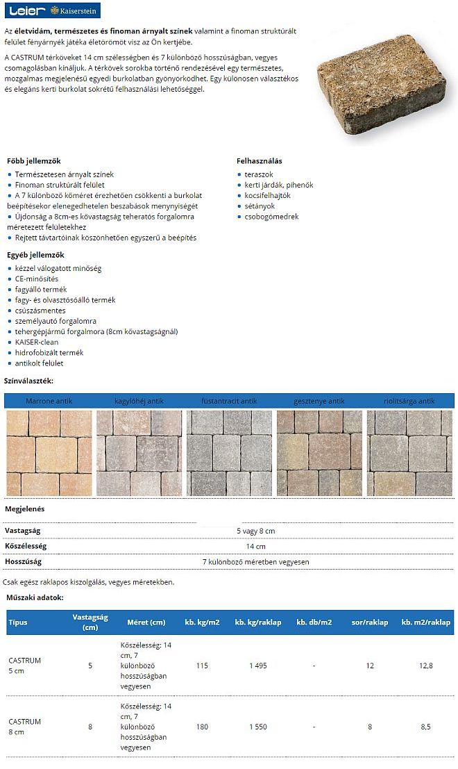 Leier Castrum antik térkő